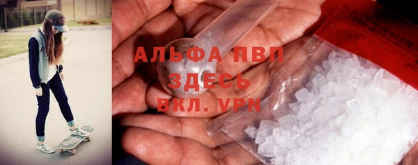 ГАЛЛЮЦИНОГЕННЫЕ ГРИБЫ Покров