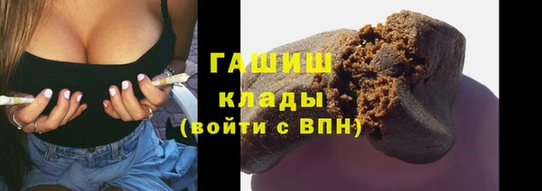 дмт Гатчина