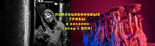 ПСИЛОЦИБИНОВЫЕ ГРИБЫ Елизово