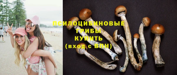 ГАЛЛЮЦИНОГЕННЫЕ ГРИБЫ Покров