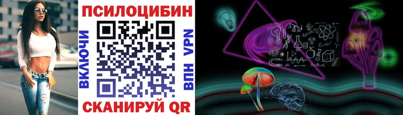 купить   кракен как войти  Псилоцибиновые грибы Psilocybe  Александровск-Сахалинский 