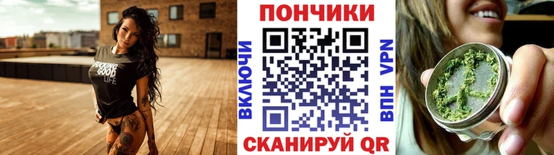 Шишки марихуана планчик  купить  цена  Александровск-Сахалинский 
